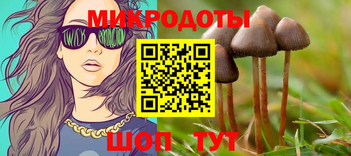 Псилоцибиновые грибы мицелий Керчь