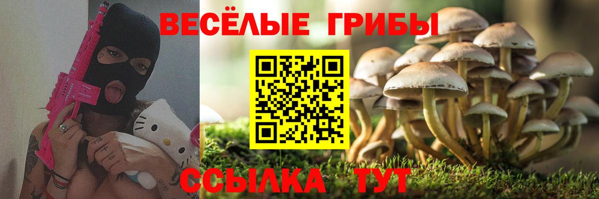 Керчь  Галлюциногенные грибы мухоморы  Вход с VPN 